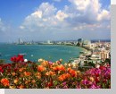 Pattaya Hotels - South, North & Central Pattaya accommodation